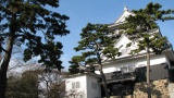 岡崎城公園／Okazaki Castle Park