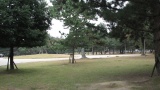 奈良公園／Nara Park