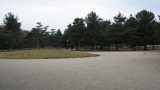 奈良公園／Nara Park