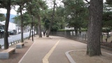 奈良公園／Nara Park