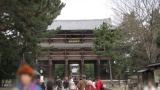 奈良公園／Nara Park