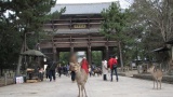 奈良公園／Nara Park