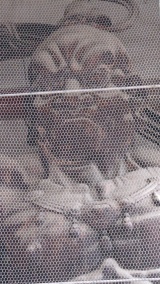 東大寺／Todaiji Temple