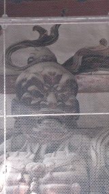 東大寺／Todaiji Temple