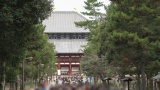 東大寺／Todaiji Temple