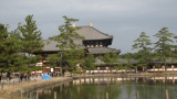東大寺／Todaiji Temple