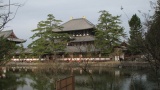 東大寺／Todaiji Temple
