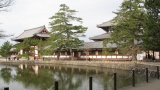 東大寺／Todaiji Temple