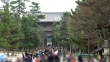 東大寺／Todaiji Temple