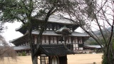 東大寺／Todaiji Temple