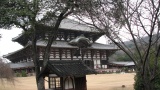 東大寺／Todaiji Temple
