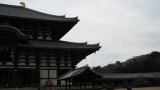 東大寺／Todaiji Temple