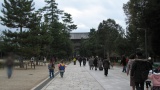 東大寺／Todaiji Temple