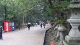 春日大社／Kasuga Taisha Shrine