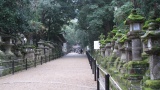 春日大社／Kasuga Taisha Shrine