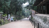 春日大社／Kasuga Taisha Shrine