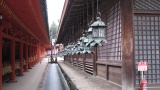 春日大社／Kasuga Taisha Shrine