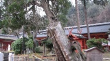 春日大社／Kasuga Taisha Shrine