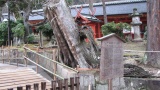 春日大社／Kasuga Taisha Shrine