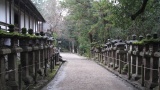 春日大社／Kasuga Taisha Shrine