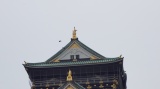 大阪城／Osaka Castle