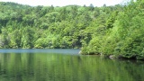 白駒池 / Shirakoma Pond