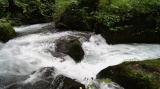 奥入瀬渓流 / Oirase stream