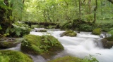 奥入瀬渓流 / Oirase stream