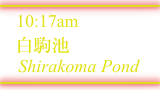 白駒池 / Shirakoma Pond