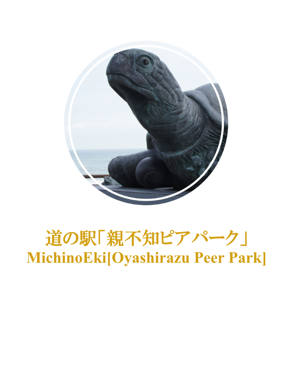 道の駅「親不知ピアパーク」：MichinoEki[Oyashirazu Peer Park]