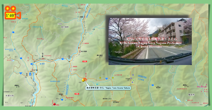 南木曽町吾妻・さくら / Nagiso Town Azuma・Sakura