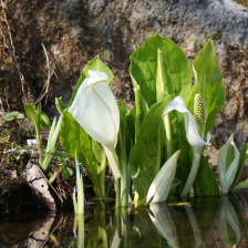 蛭ヶ野峠・分水嶺 / Hirugano Pass ・ Divide
