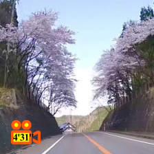 飛騨街道(郡上市高鷲町) / Hida-kaido highroad (Gujo-city Takasucho)