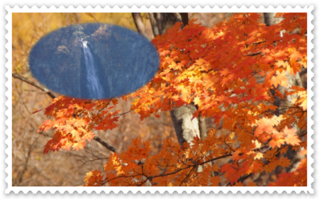 奥志賀スーパー林道 / Okushiga Super Forest Road