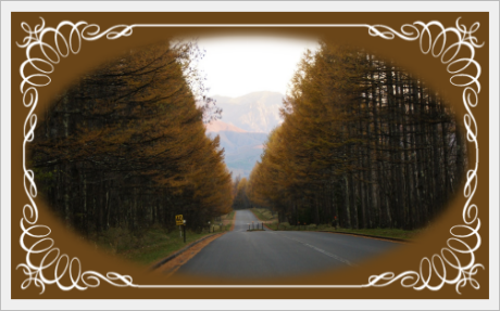 八ヶ岳高原ロッジ / Yatsugatake Plateau lodge