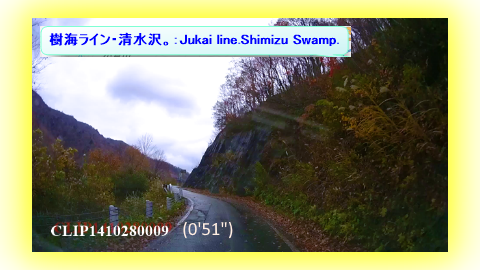 樹海ライン・清水沢。：Jukai line.Shimizu Swamp.