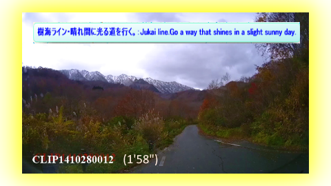 樹海ライン・晴れ間に光る道を行く。：Jukai line.Go a way that shines in a slight sunny day.