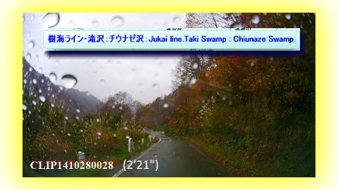 樹海ライン・滝沢：チウナゼ沢：Jukai line.Taki Swamp : Chiunaze Swamp.