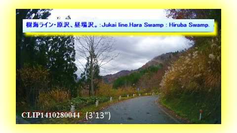 樹海ライン・原沢、昼場沢。：Jukai line.Hara Swamp : Hiruba Swamp.