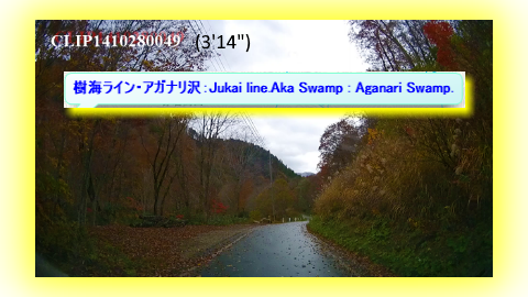 樹海ライン・アガナリ沢：Jukai line.Aka Swamp : Aganari Swamp.