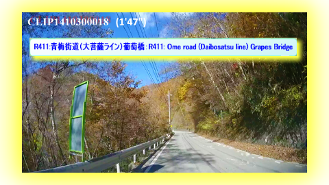 R411:青梅街道（大菩薩ライン）葡萄橋：R411: Ome road (Daibosatsu line) Grapes Bridge