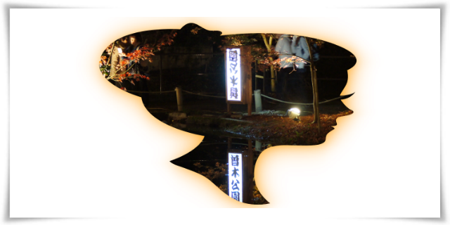 Sogi Park：曾木公園