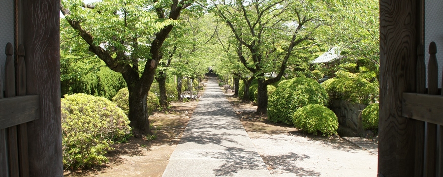 Kochoji-Temple (Numazu)