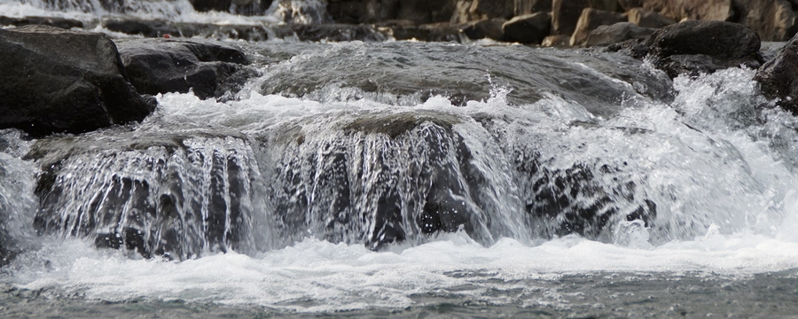 Michinoeki [Gyokuro no sato]