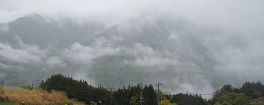 To the village of Shimoguri